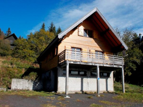 Chalet atypique près des pistes, 9 pers., sculptures uniques - FR-1-814-49